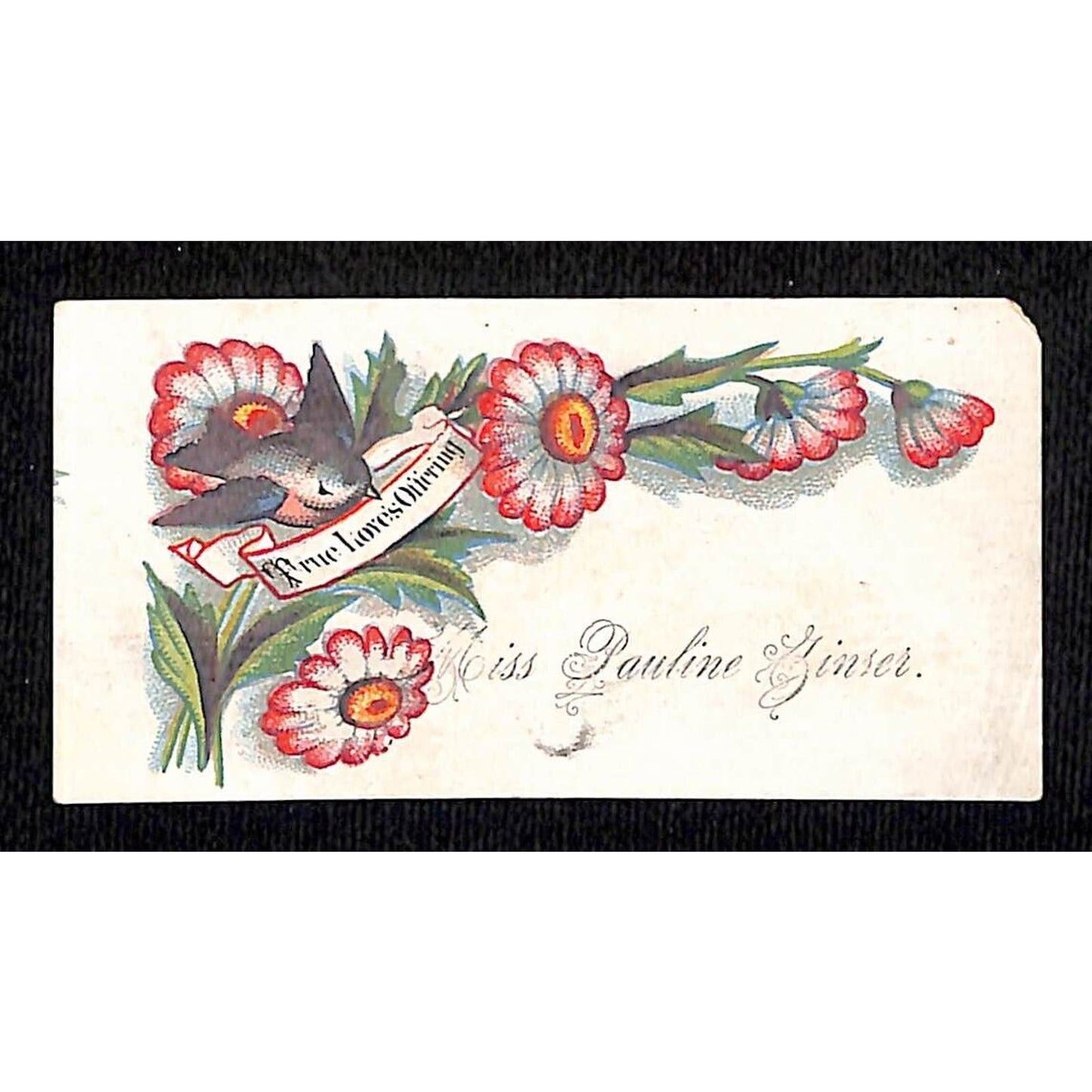 Miss Pauline Zinser ? Ginser ? Victorian Trade / Card Calling Card Floral