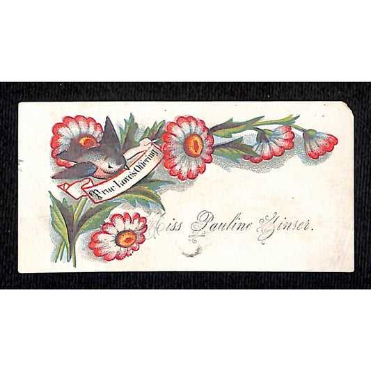 Miss Pauline Zinser ? Ginser ? Victorian Trade / Card Calling Card Floral
