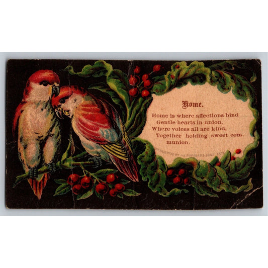 1876 Victorian Trade Card - Parrots / Cockatiels ? "Home" Poem