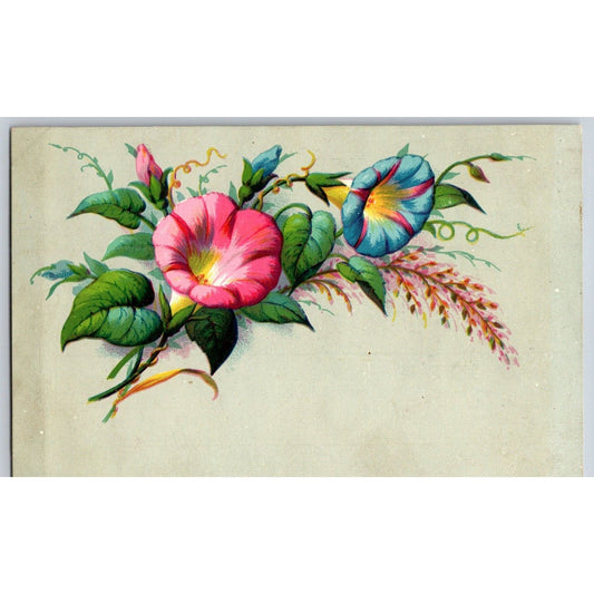 F. P. Louderbough Druggist Philadelphia Victorian Trade Card - Floral