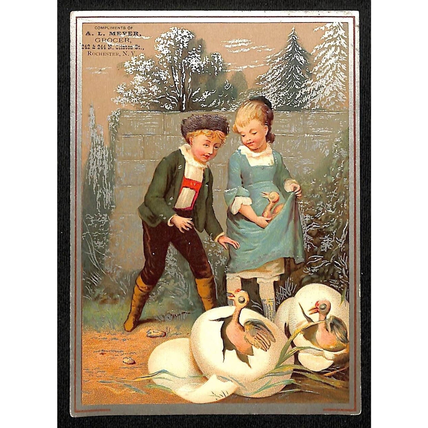 A.L. Meyer Grocer Rochester, NY Lg Victorian Trade Card w/ Kids Birds Hatching
