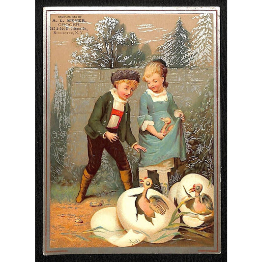 A.L. Meyer Grocer Rochester, NY Lg Victorian Trade Card w/ Kids Birds Hatching
