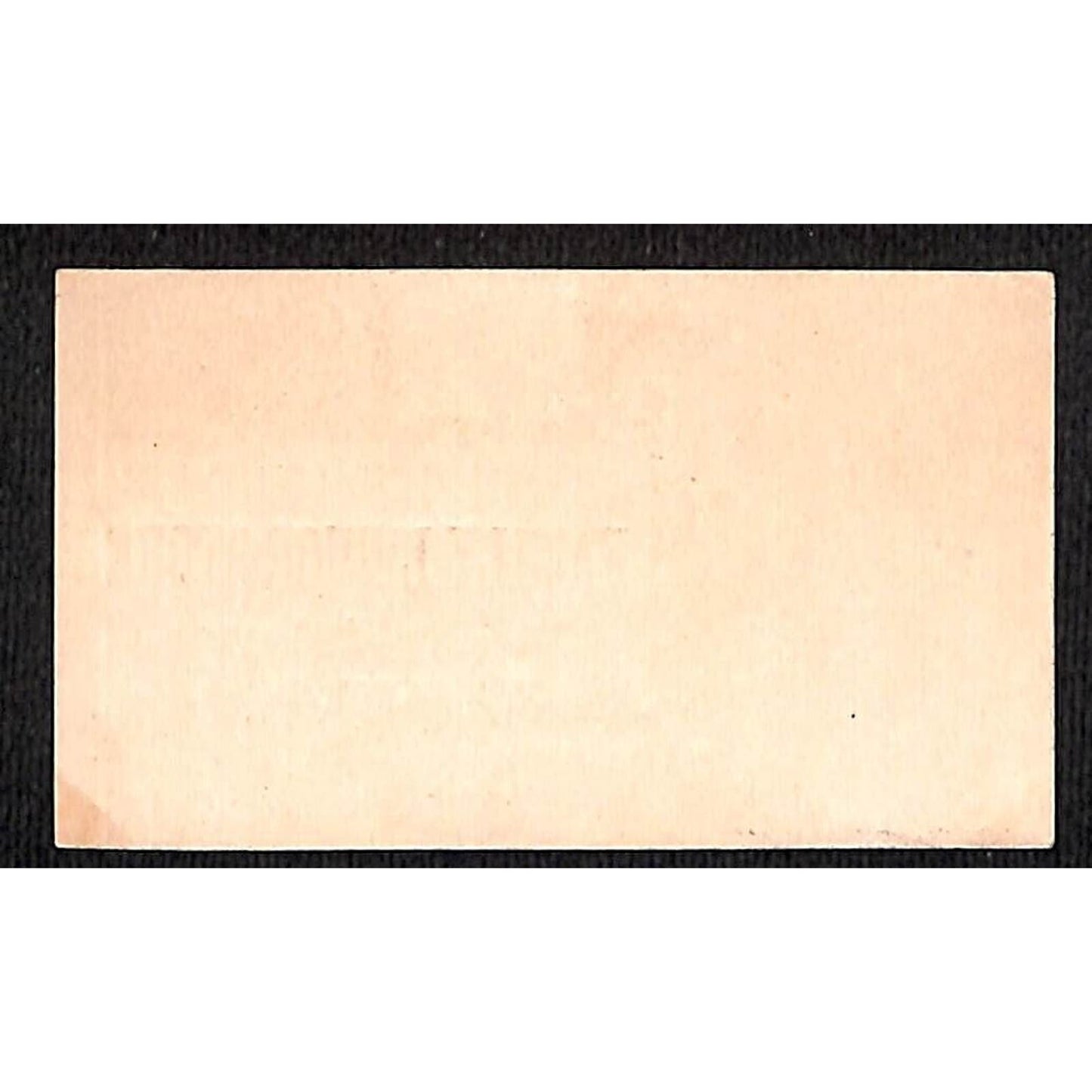 Dominick Lynch's Family Liquor Store Phila. Victorian Trade Card Swans Kids