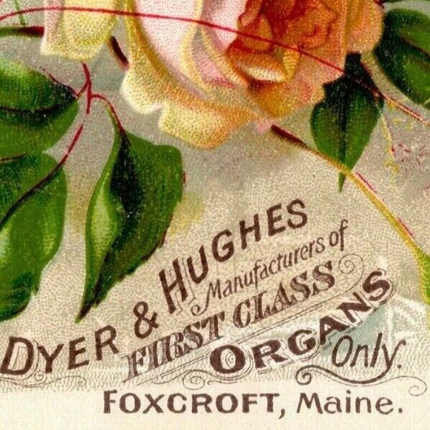 Victorian Trade Card Dyer & Hughes Organs - Foxcroft, Maine - Rose