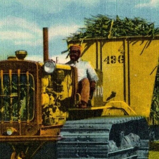 c1940's Vintage Linen Fruit Harvesting Machine Postcard Florida Sugar Cane? VGC