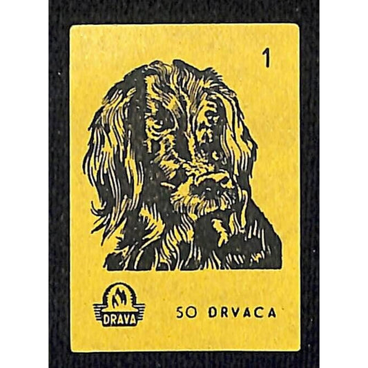 Vintage Yugoslavia Matchbox Label Drvaca Dog Breed Series - #1 VGC c1960's