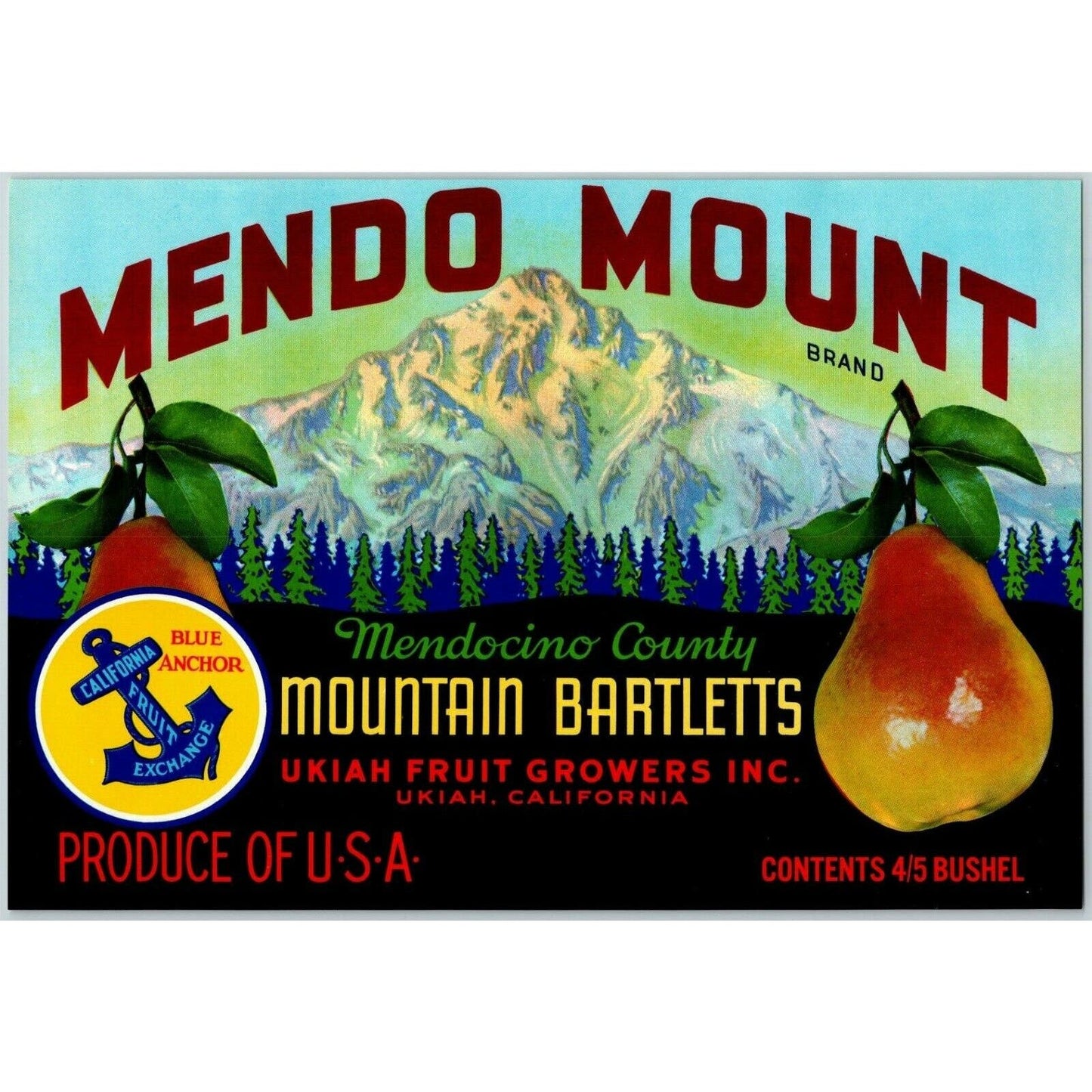 Mendo Mount Bartlett Pears Vintage Original Paper Fruit Crate Label Ukiah, CA