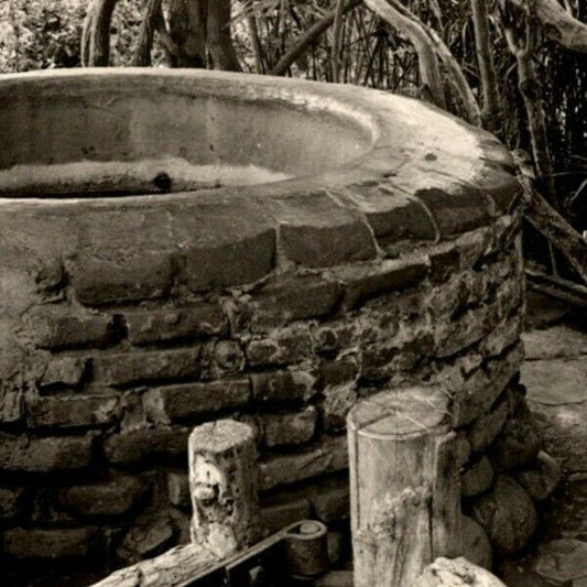 "The Wishing Well" Ramona's Marriage Place Old San Diego RPPC Postcard NP VGC