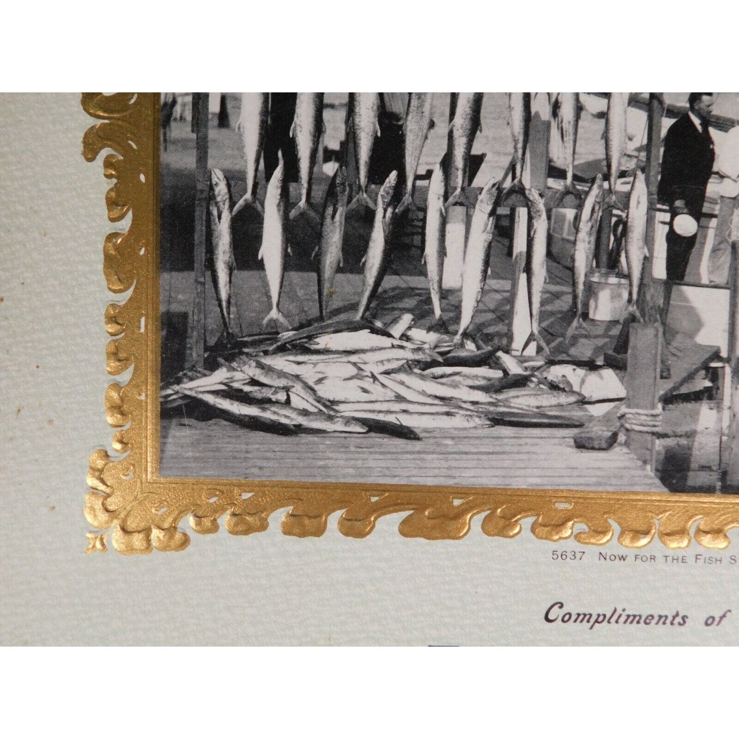 F. H. Martin 1905 Calendar "Meats Of All Kinds" Real Photo Williamstown Vermont