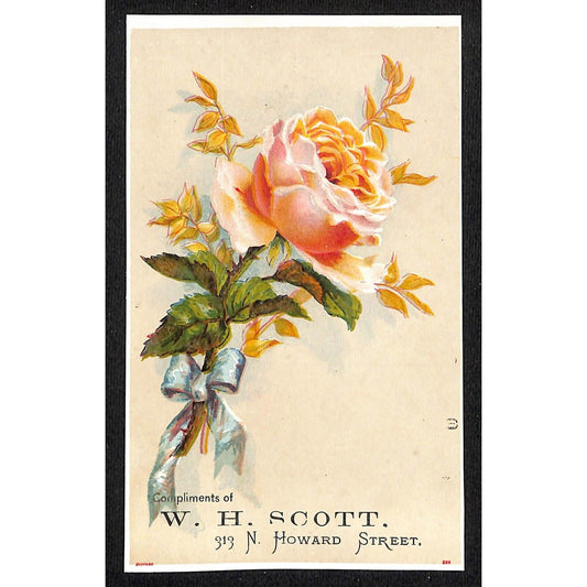 W.H. Scott / N. Howard Street. (Furnishings Baltimore) Victorian Trade Card Rose