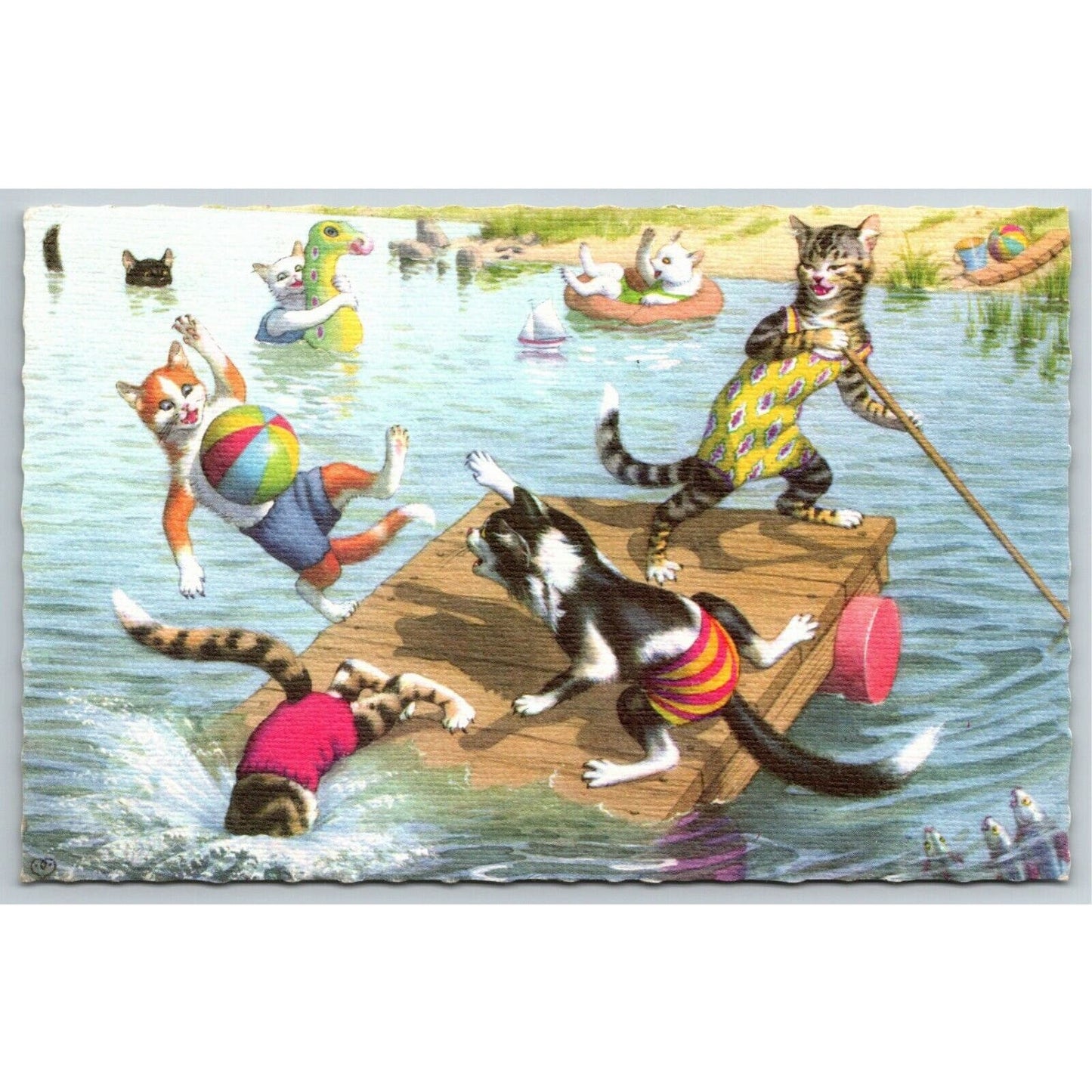 Vintage Postcard Cats Playing in Lake / Ocean Scalloped PM 1973