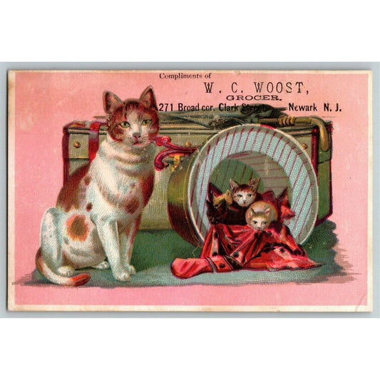 W.C. Woost Grocer Broad Clark Newark, NJ Victorian Trade Card Cat with Kittens