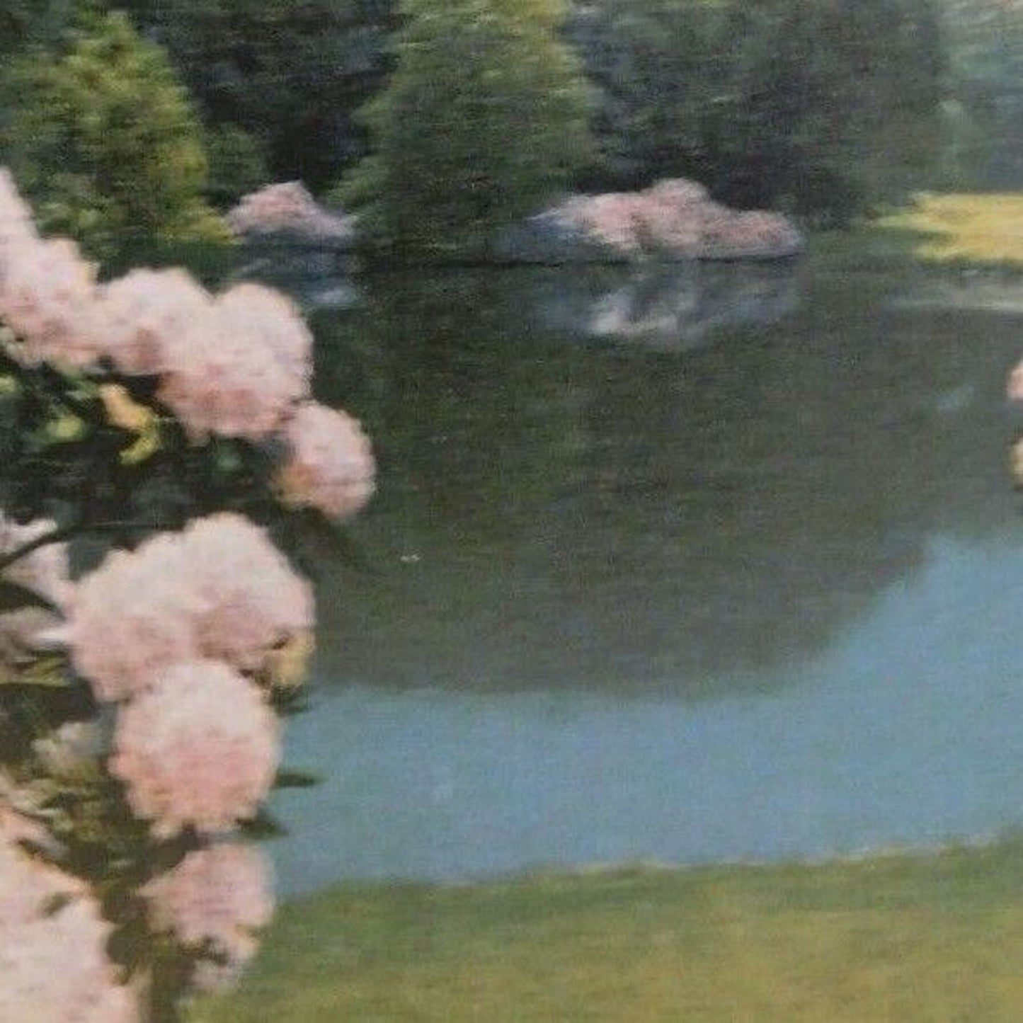 Vintage Postcard - Untitled - Chrysanthemums Near Still Pond Scene