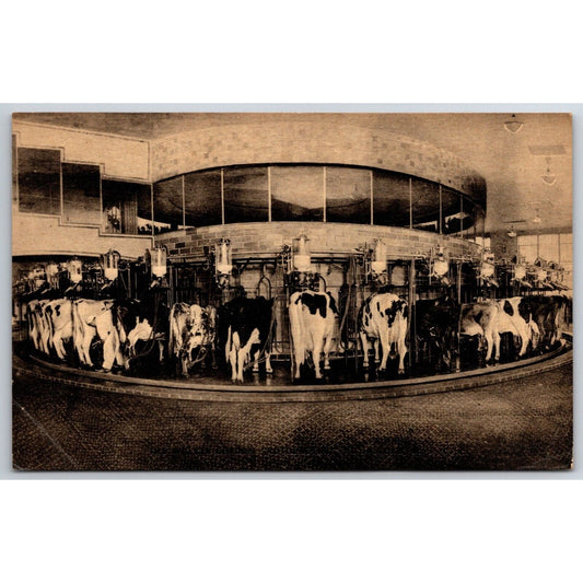 Walker Gordon "Rotolactor" Cow Milker Advertising Postcard c1940's Unposted VGC