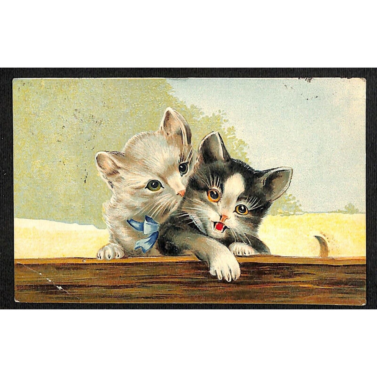 Vintage Postcard Cats Kittens Playing Reverse Embossed PM 1912