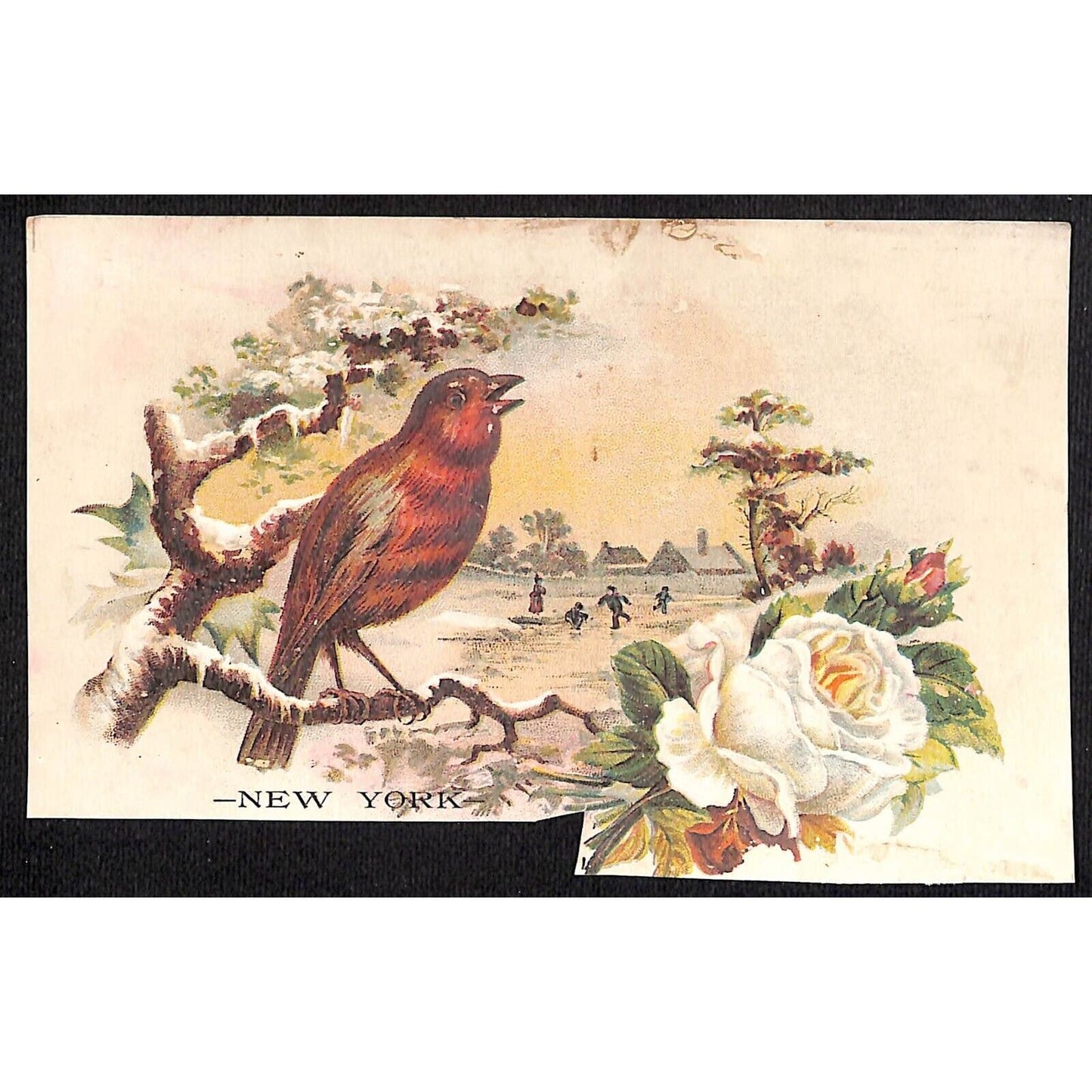 New York Dental Parlors Louisville KY (4) Victorian Trade Cards w/ Birds