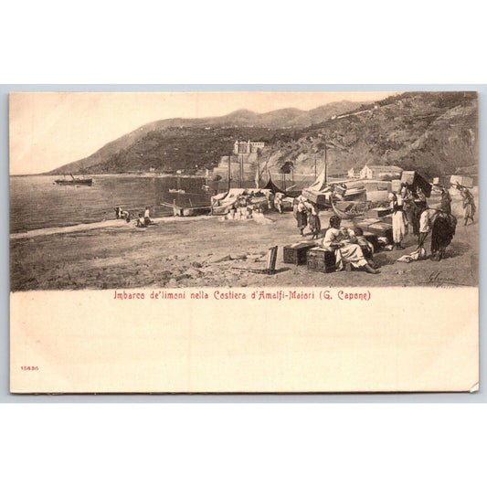 Italian Postcard Maiori "Loading of Lemons on the Amalfi Coast" 1901-1907 NP VGC