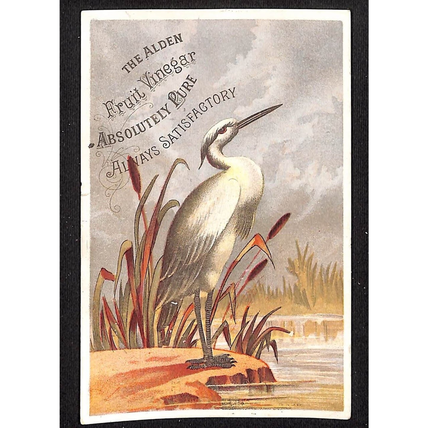 The Alden Fruit Vinegar Victorian Trade Card Stork Bird ? In Marsh