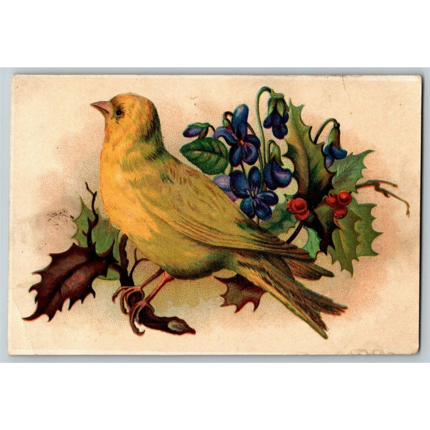 Woolson Spice Co. Mail Order Offer Victorian Trade Card Yellow Bird Holly Branch