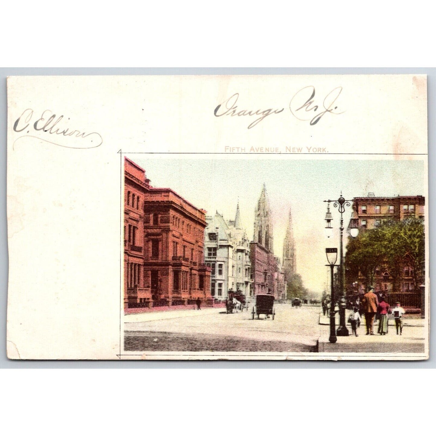 Beardsley's Shredded Codfish Fifth Ave NYC Advertising Postcard c1900 Scarce
