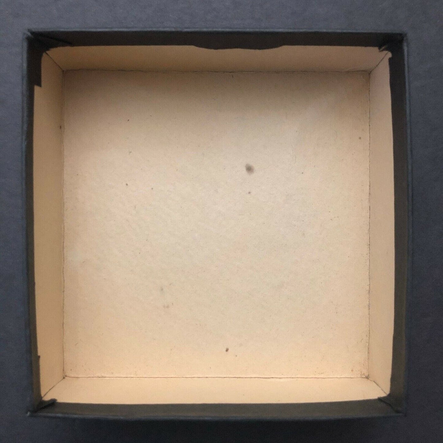 Black Diamond Vintage Banjo String Empty Box Texture + Gilt Text Faux Alligator?