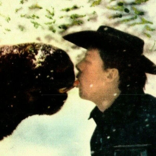 c1977 "Moose Smooch" 4" x 6" Scalloped Postcard