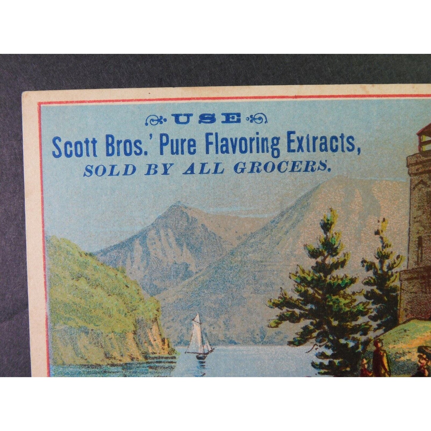 Victorian Advertising Trade Card - Scott Brothers Pure Flavoring Extracts