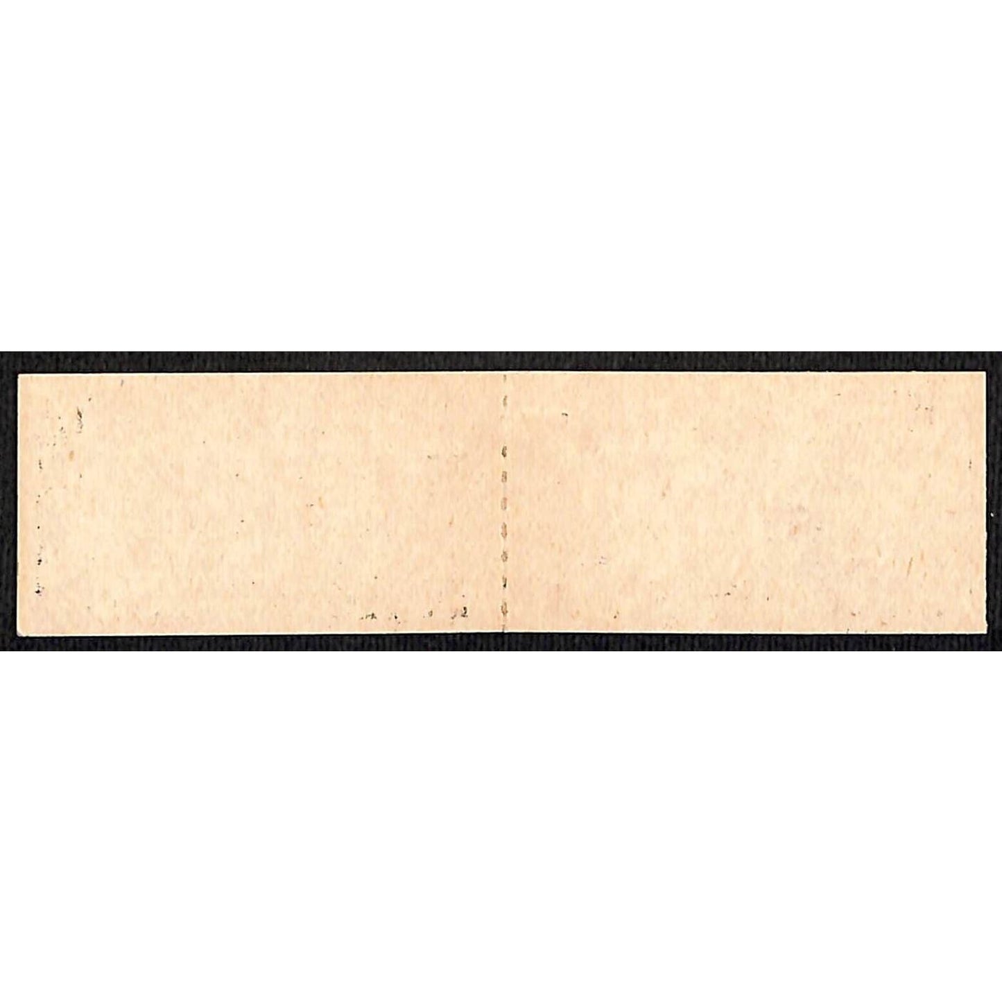 Chicago, Aurora and Elgin Railway Double Ticket Forest Park Glen Ellyn #40284