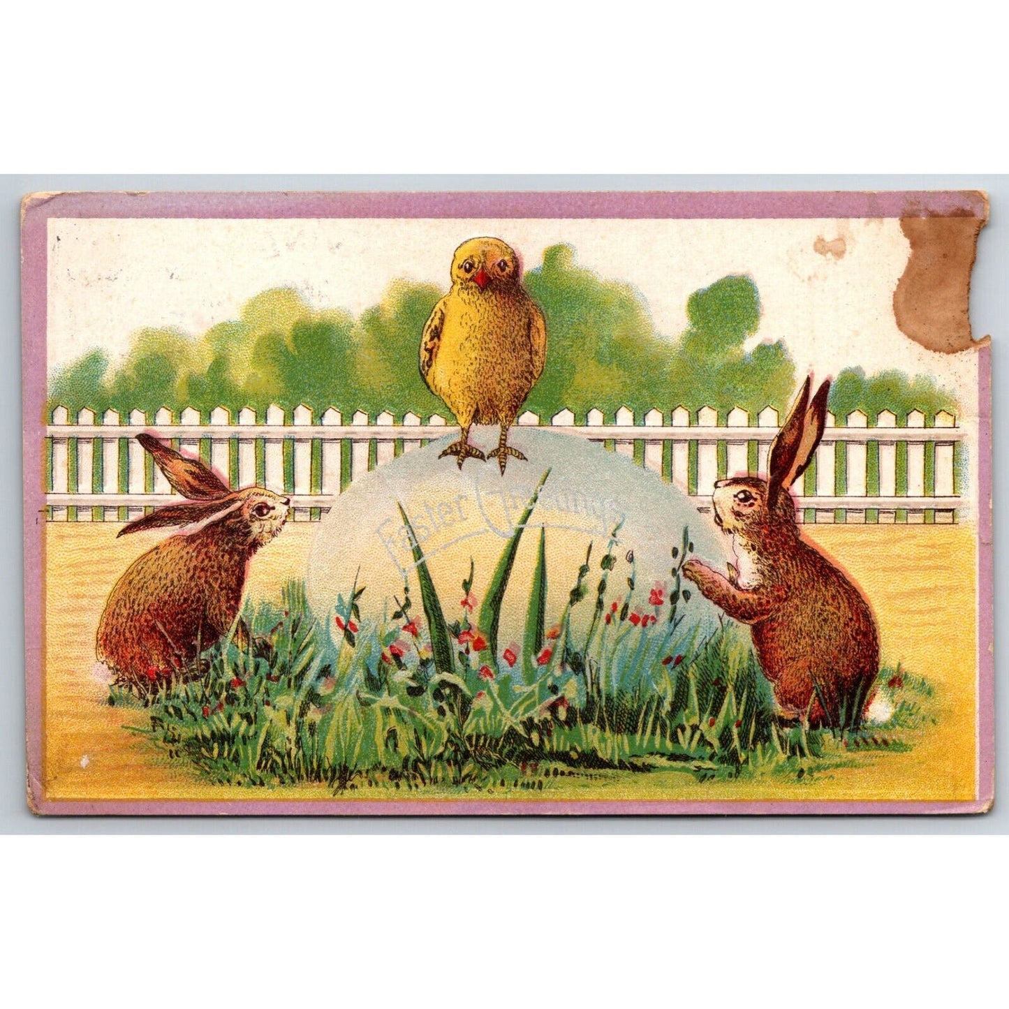 Easter Postcard Owl and Two Bunny Rabbits on Large Egg EMB PM 1914