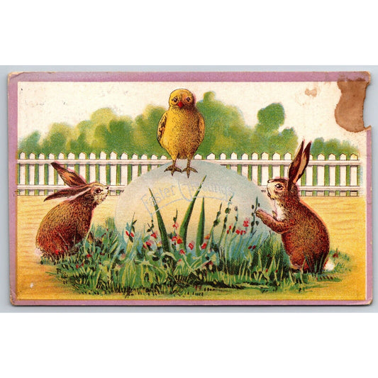 Easter Postcard Owl and Two Bunny Rabbits on Large Egg EMB PM 1914
