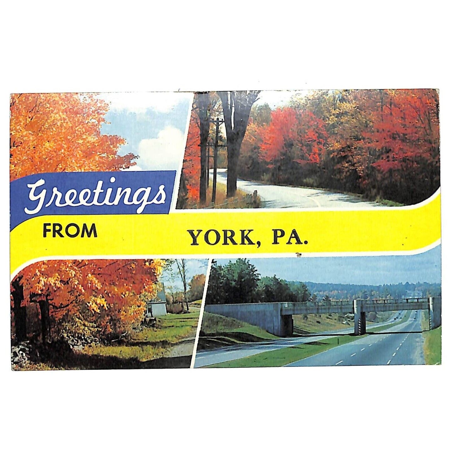 Greetings From York, PA Postcard - Fall Scenes c1960's-70's NP VGC