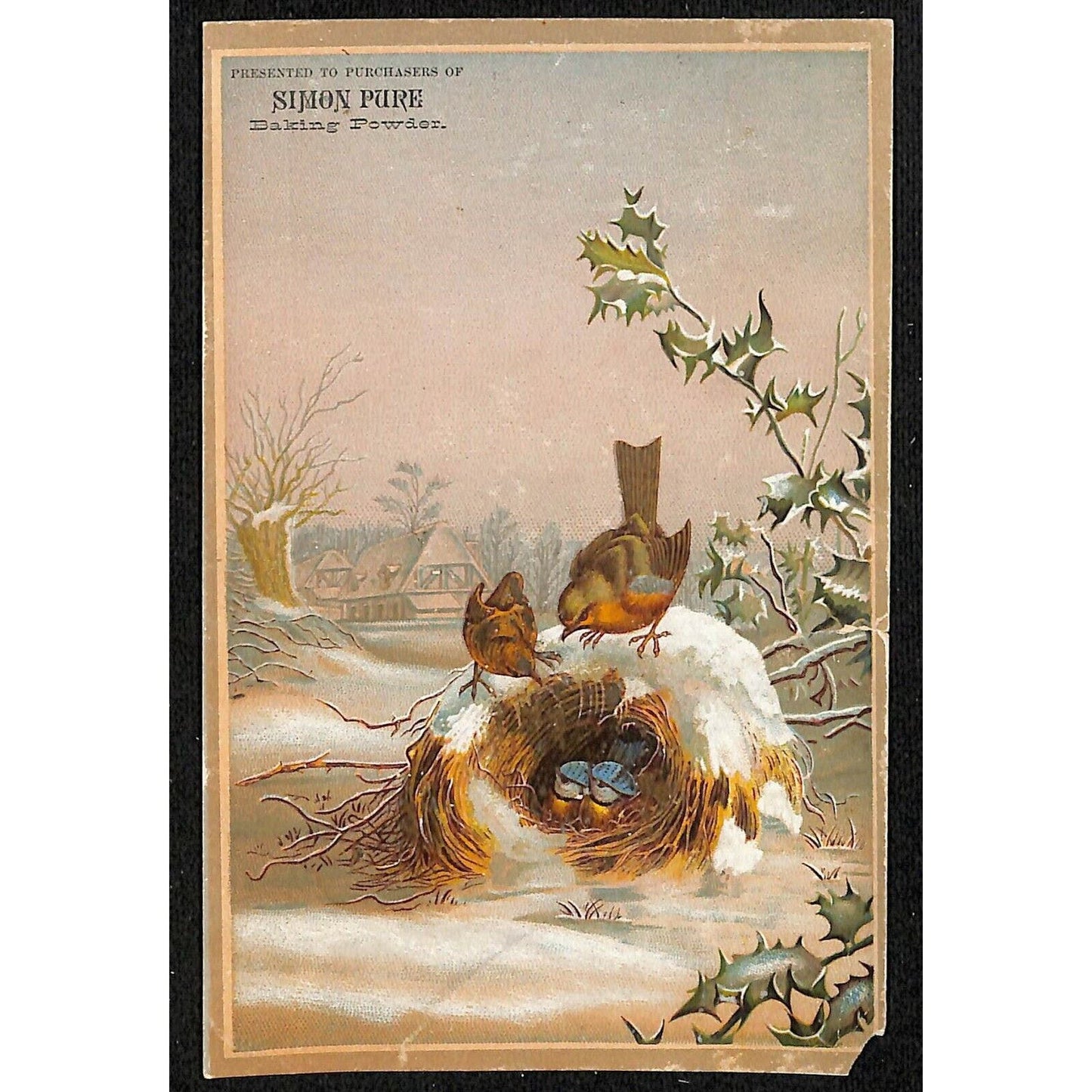 1880-90's Victorian Trade Card Simon Baking Soda Scranton, PA Winter Birds Nest