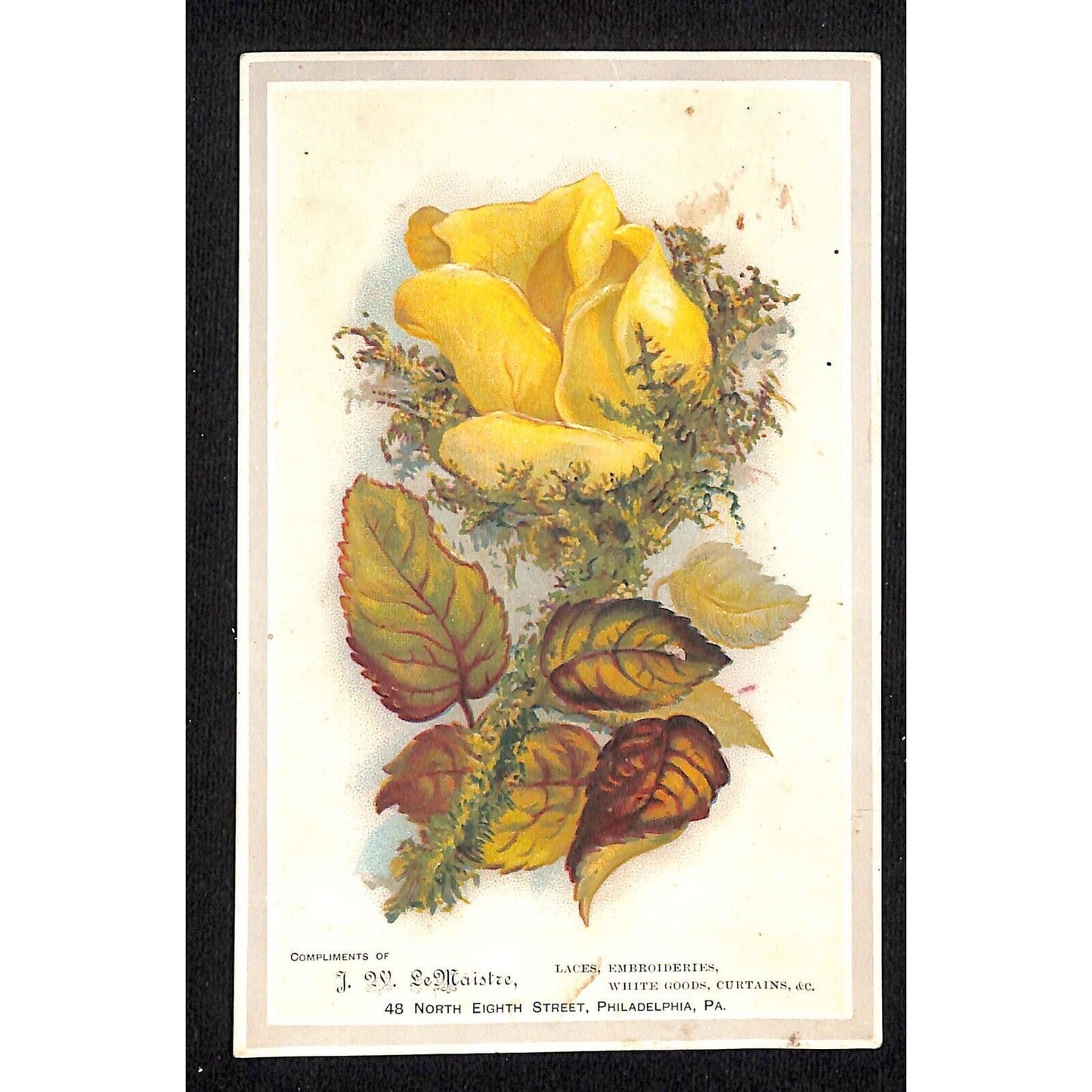 J.W. LeMaistre Laces White Goods Philadelphia Victorian Trade Card Floral