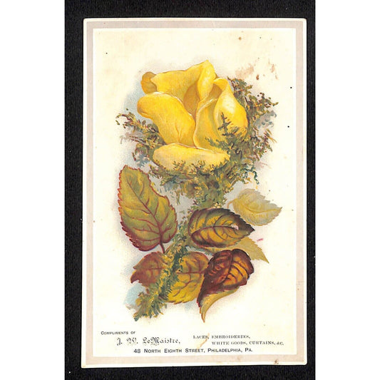 J.W. LeMaistre Laces White Goods Philadelphia Victorian Trade Card Floral