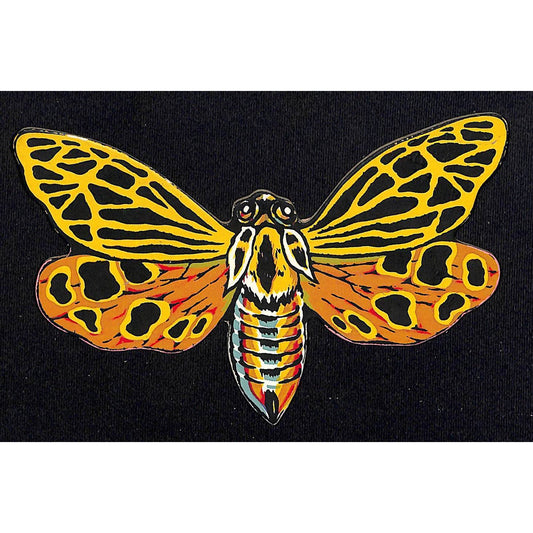 Butterfly Die Cut Ornament Stiff Cardboard Circa Early 1900's NOS VGC