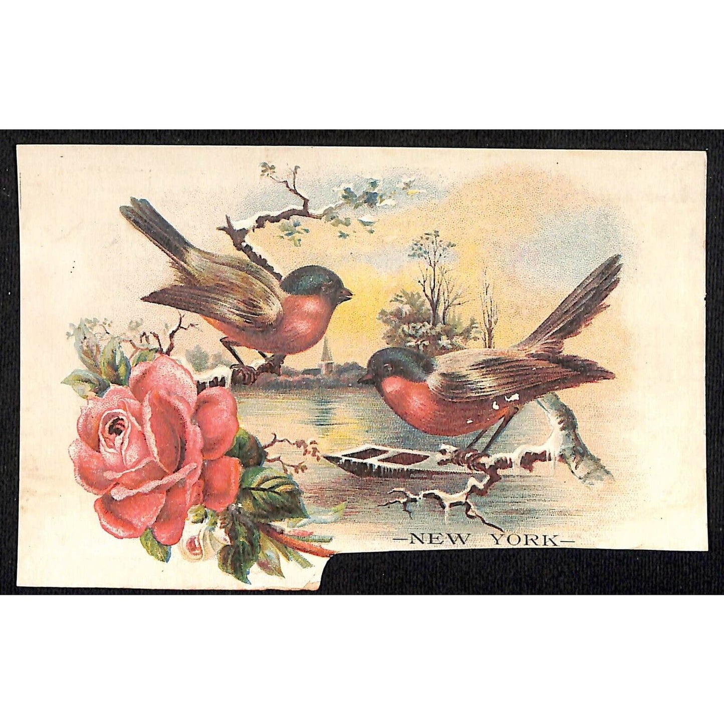 New York Dental Parlors Louisville KY (4) Victorian Trade Cards w/ Birds