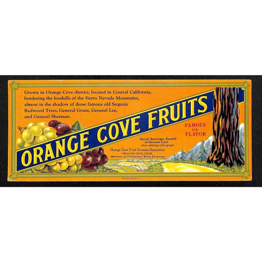 1940's - 1950's Ink Blotter Advertising - Orange Cove Fruits - Orange Grove Cali