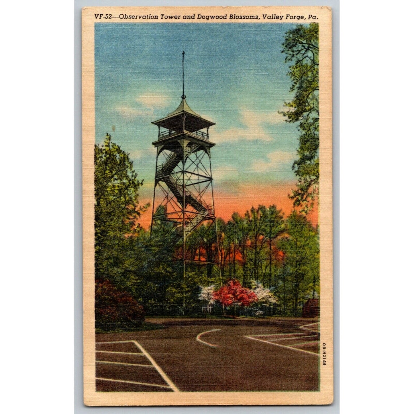 Vintage Linen Postcard Observation Tower Dogwood Blossoms Valley Forge, PA UP