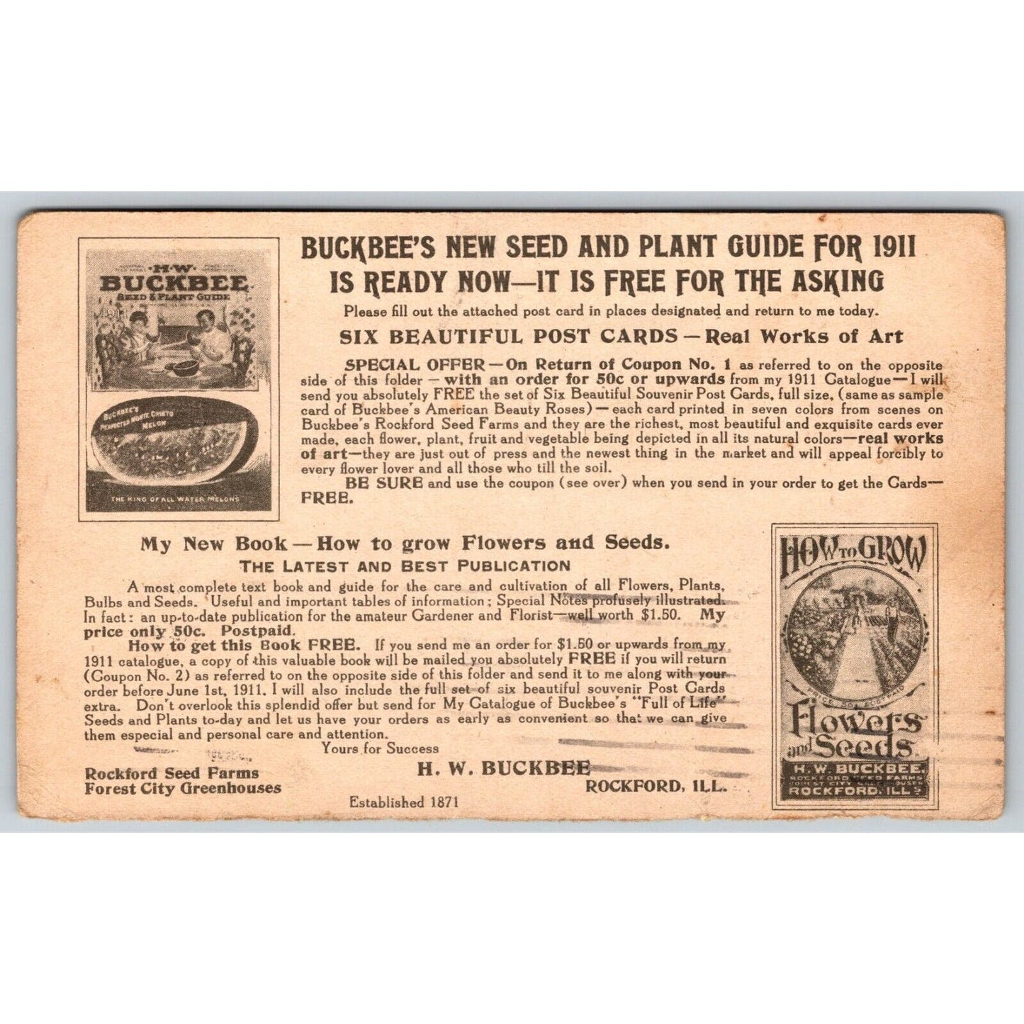 Buckbee's American Beauty Roses Rockford Advertising Trade Card c1911