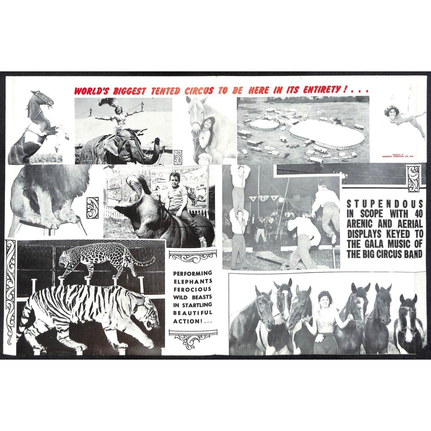 Cristiani Wallace Bros. Circus Fold Out Single Sheet Brochure c1963-65 Scarce