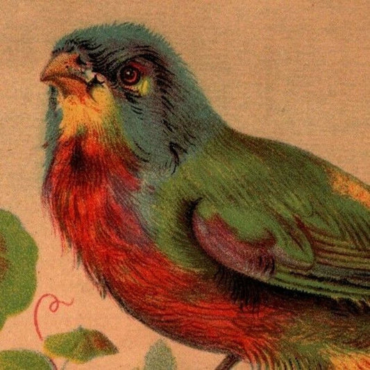 Alden Fruit Vinegar J. H. Wade Richmond, VA Bird - Large Victorian Trade Card