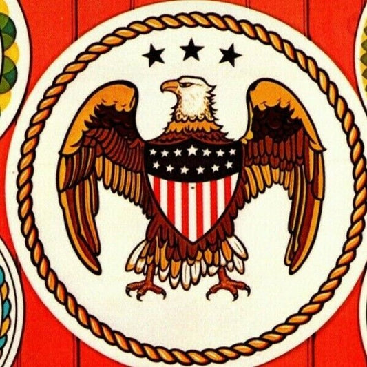 c1960's-70's Vintage Postcard Pennsylvania Dutch Hex Signs Flag Eagle VGC