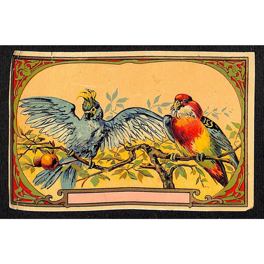 Antique Perfume? Soap? Label - Colorful Birds Sit on Fruit Tree Branch