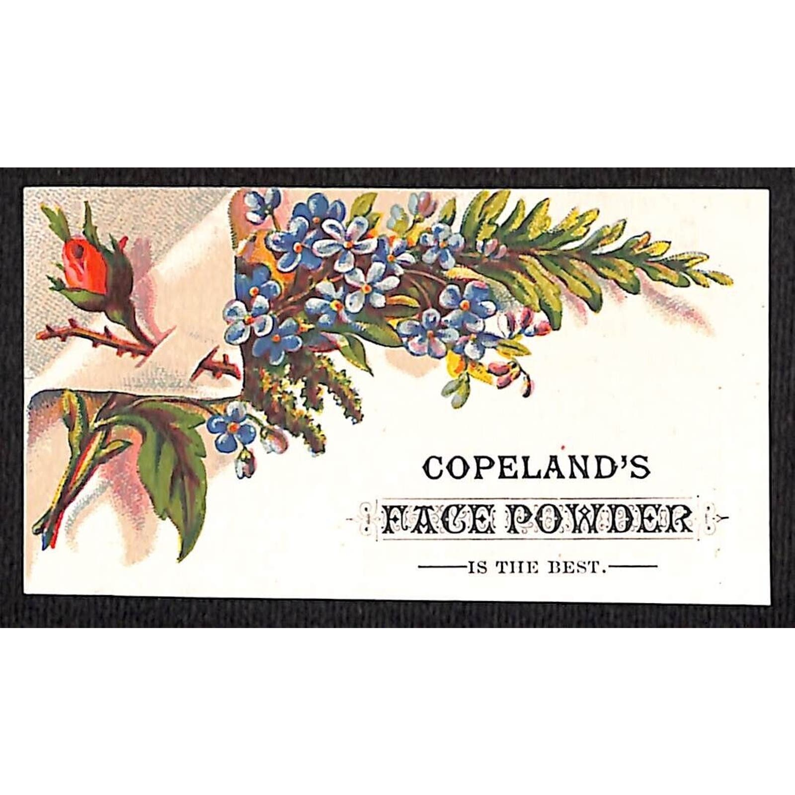 Tooth Powder Victorian Copeland's Oriental Tooth Powder / Face Powder Victorian Trade Card ...
