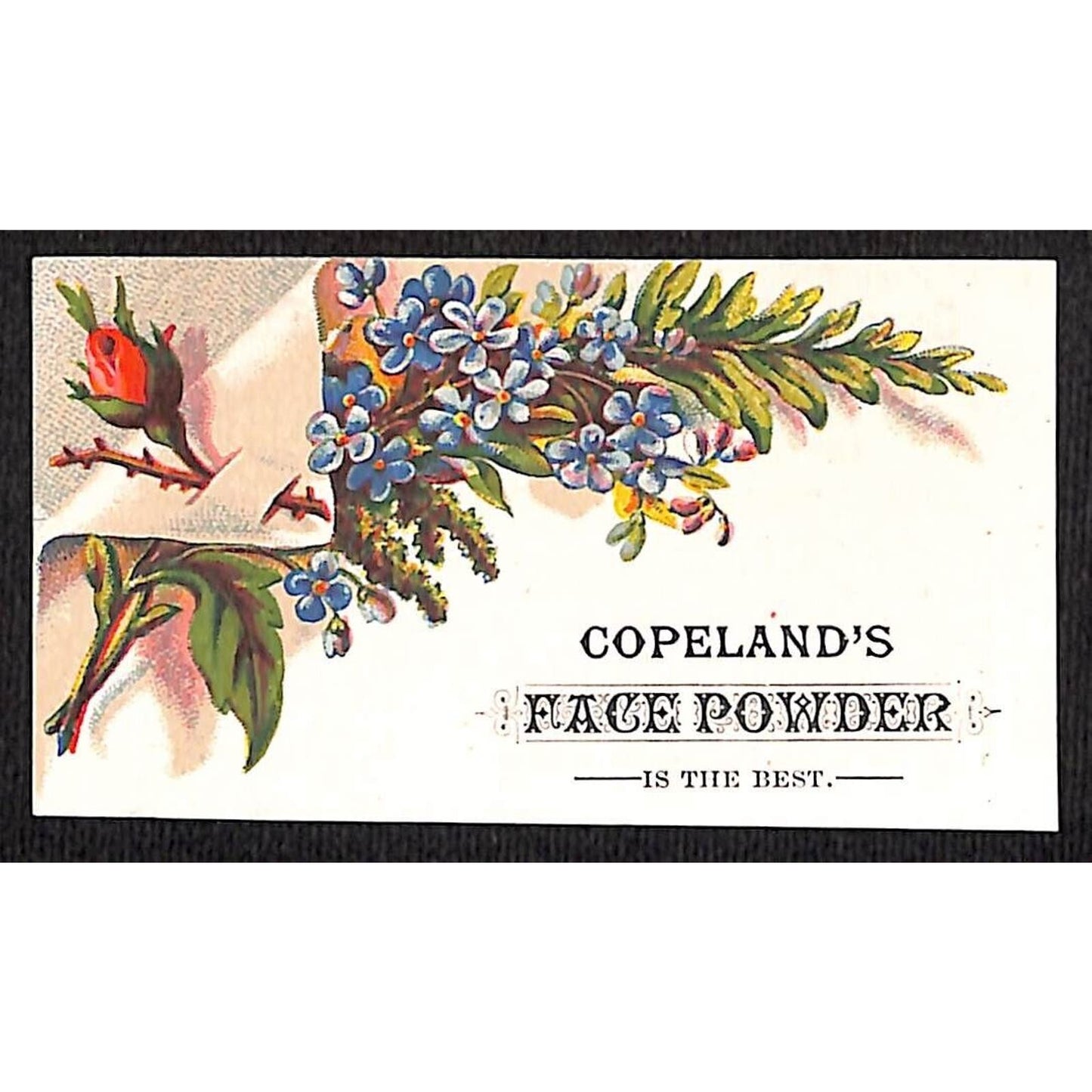 Copeland's Oriental Tooth Powder / Face Powder Victorian Trade Card