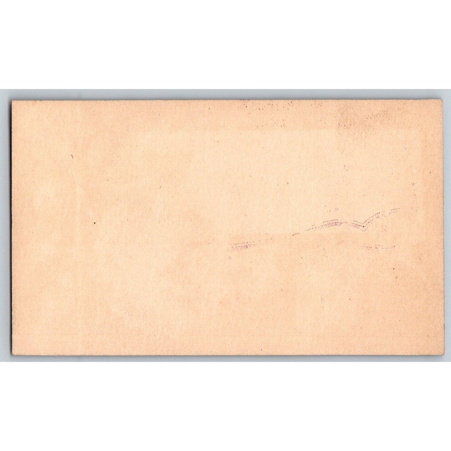Fischer & Stehle Boots & Shoes (Marietta, WA?) Victorian Trade Card Roses