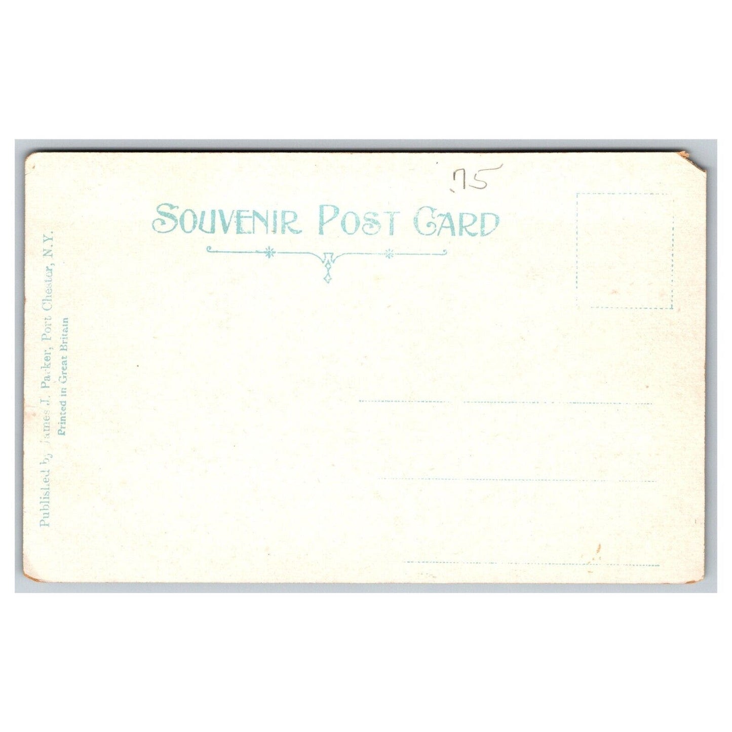 Approaching Port Chester, NY Station Railroad Postcard Early Evening NP c1910-15