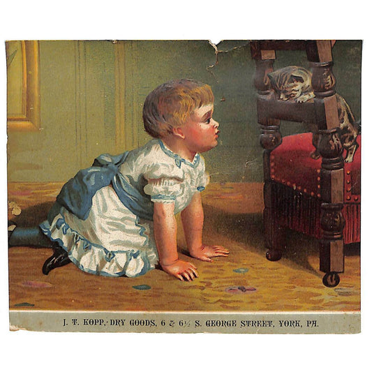 1880-90's Victorian Trade Card J.T. Kopp Dry Goods York, PA Kitten & Child