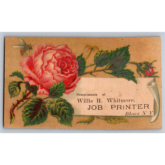 Willis H. Whitmore Job Printer Ithaca, NY Floral Victorian Trade Card for TCs