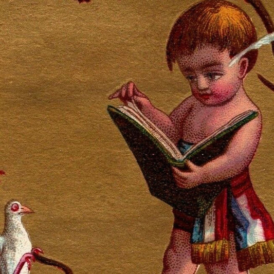 Blank Gilt Victorian Trade Card - Boy Standing on Branch W/ Birds While Reading
